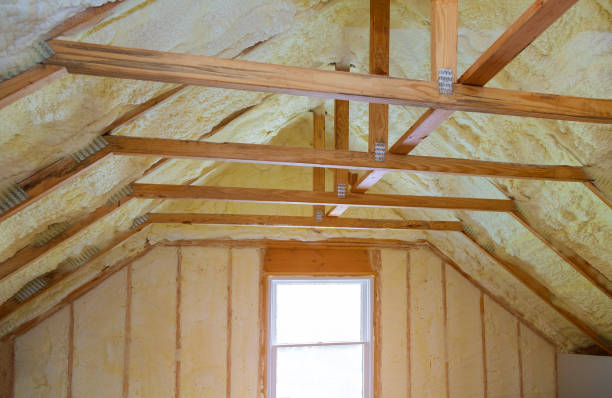 Best Residential Insulation Services  in Chicago Heights, IL