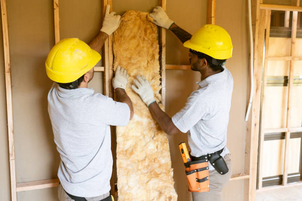 Best Wall Insulation Contractor  in Chicago Heights, IL