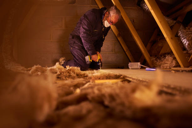 Best Insulation Replacement Services  in Chicago Heights, IL